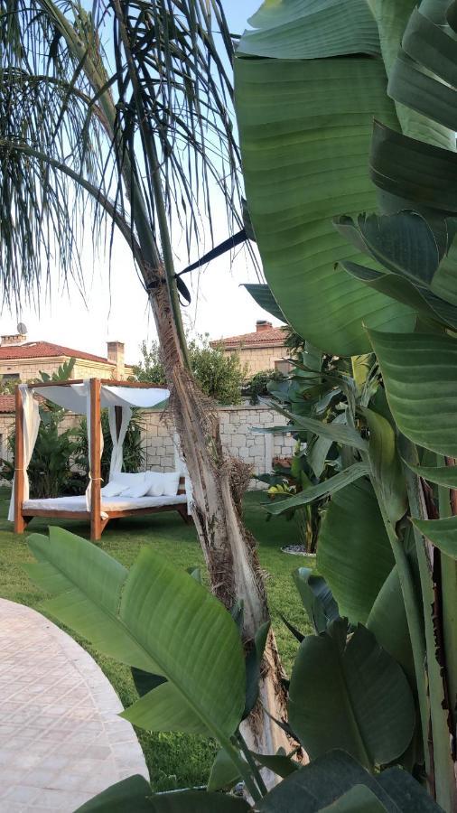 אלאקאטי Triangulo Hotel מראה חיצוני תמונה