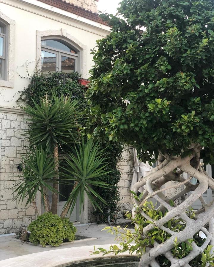 אלאקאטי Triangulo Hotel מראה חיצוני תמונה