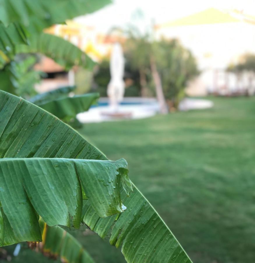 אלאקאטי Triangulo Hotel מראה חיצוני תמונה